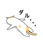猫のコメタ（個別スタンプ：1）