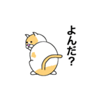 猫のコメタ（個別スタンプ：3）