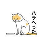 猫のコメタ（個別スタンプ：5）