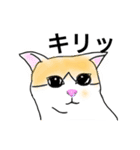 猫のコメタ（個別スタンプ：11）