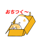 猫のコメタ（個別スタンプ：12）