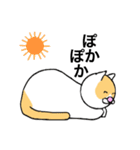 猫のコメタ（個別スタンプ：13）