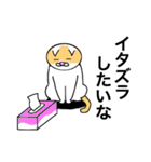 猫のコメタ（個別スタンプ：17）