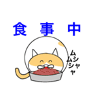 猫のコメタ（個別スタンプ：18）