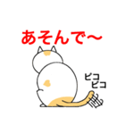 猫のコメタ（個別スタンプ：19）