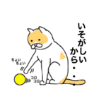 猫のコメタ（個別スタンプ：21）