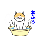 猫のコメタ（個別スタンプ：22）