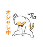 猫のコメタ（個別スタンプ：26）