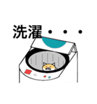 猫のコメタ（個別スタンプ：28）