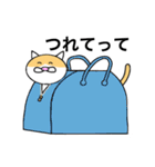 猫のコメタ（個別スタンプ：30）