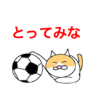 猫のコメタ（個別スタンプ：31）
