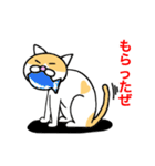 猫のコメタ（個別スタンプ：34）