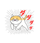 猫のコメタ（個別スタンプ：38）