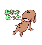 土佐犬ぶんたん3（個別スタンプ：40）