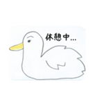 本当に動物？（個別スタンプ：27）