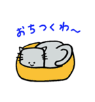 しかくいねこ（個別スタンプ：35）