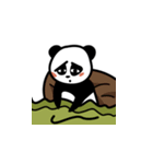 Emotional panda（個別スタンプ：17）
