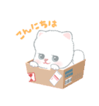 猫と赤ちゃん. JP.ver（個別スタンプ：2）