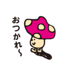 きのこっち（個別スタンプ：24）