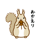 えぞノリス（個別スタンプ：12）