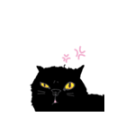 Dusky cat（個別スタンプ：10）