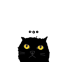 Dusky cat（個別スタンプ：11）