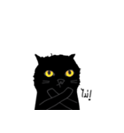 Dusky cat（個別スタンプ：24）