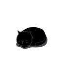 Dusky cat（個別スタンプ：29）