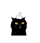 Dusky cat（個別スタンプ：36）