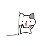 壁からねこ（個別スタンプ：19）