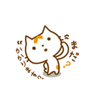 ゆるねこもっち（個別スタンプ：16）