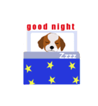 可愛い キャバリア ロキシー（個別スタンプ：10）