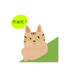 Pineapple cat 3（個別スタンプ：17）