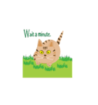Pineapple cat 3（個別スタンプ：24）