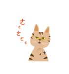 Pineapple cat 3（個別スタンプ：27）