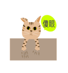 Pineapple cat 3（個別スタンプ：40）