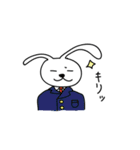 しゃべるうさぎさん（個別スタンプ：34）