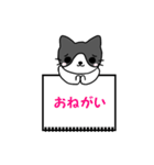 ねこのノート（個別スタンプ：12）