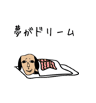 顔がちょっと似ている家族の犬（個別スタンプ：7）