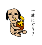 顔がちょっと似ている家族の犬（個別スタンプ：37）
