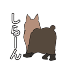 陽気なヨーキーバージョン2 日本語第2弾（個別スタンプ：2）