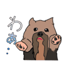陽気なヨーキーバージョン2 日本語第2弾（個別スタンプ：3）