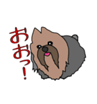 陽気なヨーキーバージョン2 日本語第2弾（個別スタンプ：9）