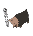 陽気なヨーキーバージョン2 日本語第2弾（個別スタンプ：19）