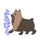 陽気なヨーキーバージョン2 日本語第2弾（個別スタンプ：20）