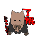 陽気なヨーキーバージョン2 日本語第2弾（個別スタンプ：29）