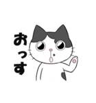 ゆかいなねこちゃんず（個別スタンプ：1）