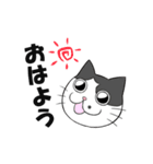 ゆかいなねこちゃんず（個別スタンプ：5）