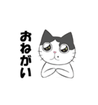 ゆかいなねこちゃんず（個別スタンプ：11）
