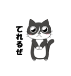 ゆかいなねこちゃんず（個別スタンプ：12）